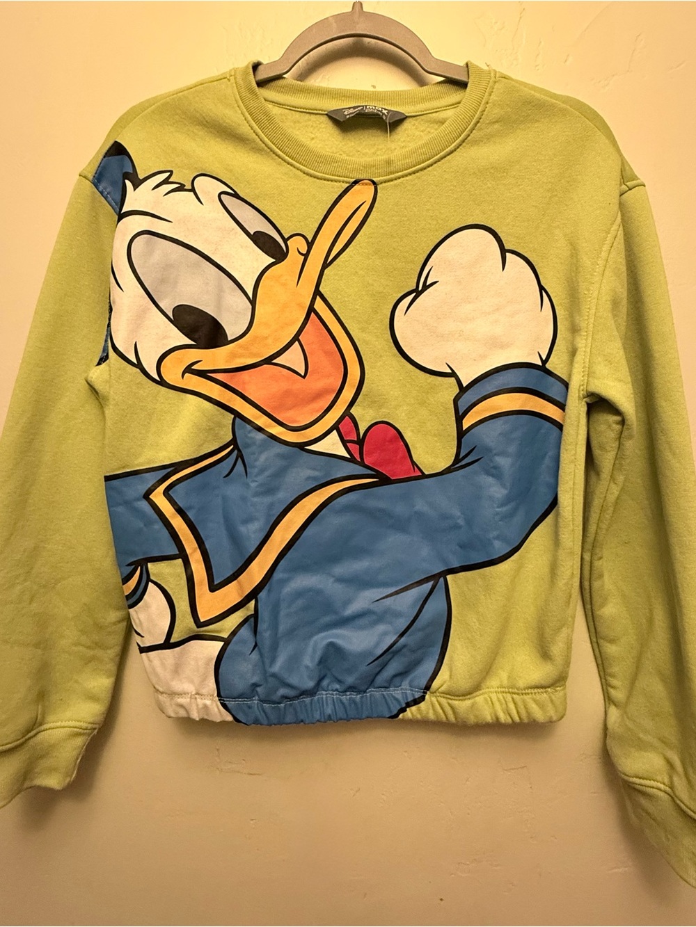 Disney Max Donald Duck Light Green Graphic Sweater